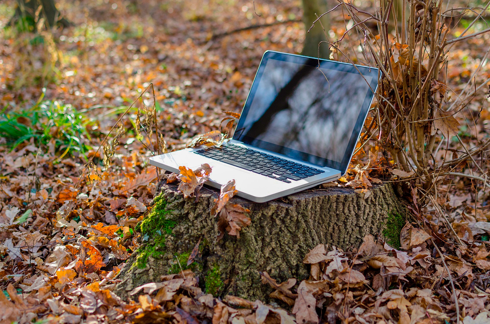 © pixabay goumbik laptop green